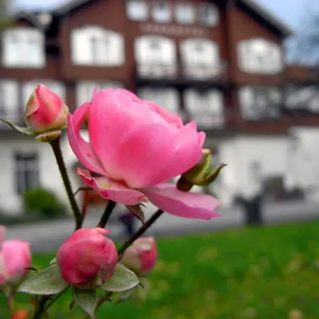Hotel Parkhotel